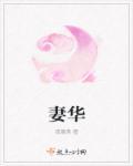 免费阅读我的傻白甜老婆