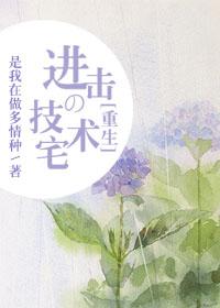 技术宅系统晋江