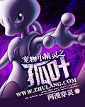 宠物小精灵之怜笔趣阁