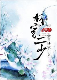 红楼之林家二少紫月纱衣