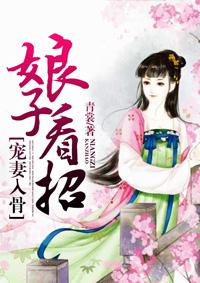 宠妻入骨娘子看招txt