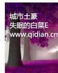 中国土豪最多的城市