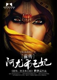 阿尤布王朝甲胄