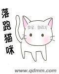 小猫咪跑掉了