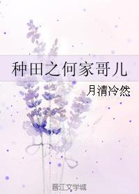 种田之何家哥儿by月清免费阅读