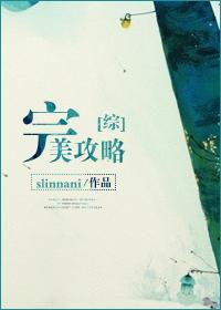 (综)完美攻略作者slinnani