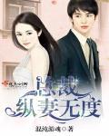 总裁宠妻无度作者南窗