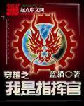 指挥官全文免费阅读