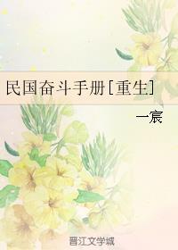 民国平民奋斗