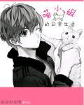 喵小姐的养猫