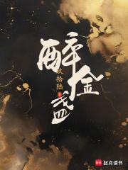 醉金盏全本免费阅读
