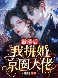 被渣后我闪婚了满级大佬