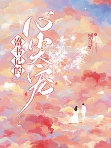 盛书记的心尖宠免费阅读