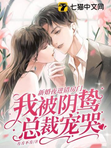 新婚夜进错房门我被阴鸷总裁宠哭 方方不方