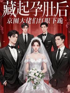 藏起孕肚后京圈大佬们红眼下跪TXT