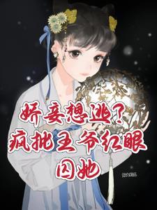 疯批王爷囚爱夺欢