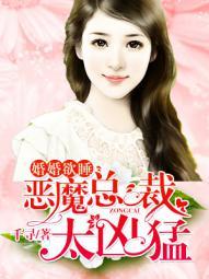 婚婚欲睡恶魔总裁太凶猛