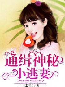 通缉神秘小逃妻 琉璃