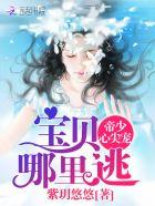 帝少心头宠