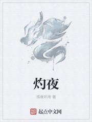 灼夜的全部