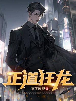 正道潜龙是什么类型的