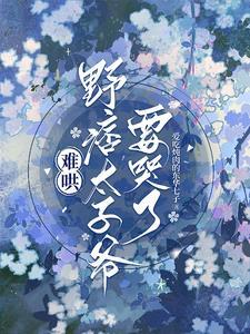 难哄野痞太子爷要哭了简介