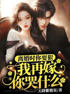 离婚时你耍狠我再嫁你哭什么