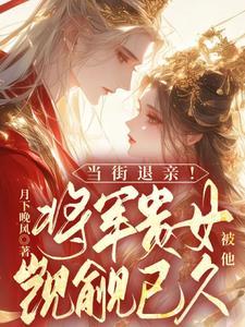 将军h和贵女h