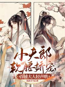 夫郎首辅文
