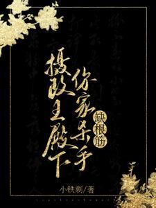 摄政王殿下你家杀手缺根筋免费阅读大结局