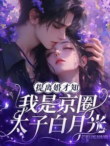 都离婚了京圈太子爷娶我你哭什么41