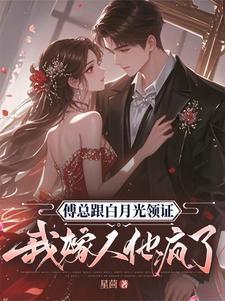 我嫁人他疯了(完结)