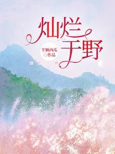灿烂是谁的作品