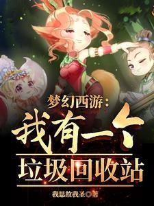 梦幻西游垃圾清理
