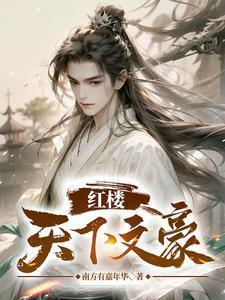红楼之文泱文士