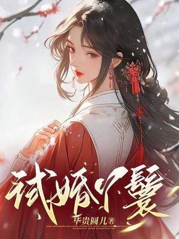 试婚丫鬟演员表