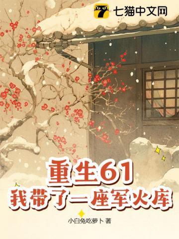重生61我带了一座军火库简介