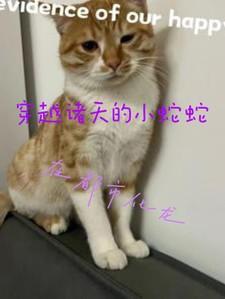 穿越诸天 主角成为一条蛇有遮天成为大帝的