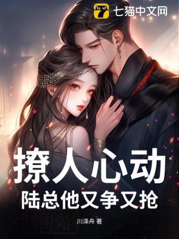宠婚撩人 陆先生的心尖爱妻