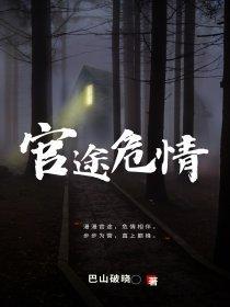 官途危情TXT百度