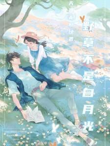 野草不是白月光沈确
