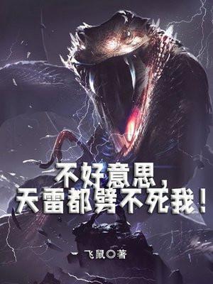 天雷是讨厌的意思吗