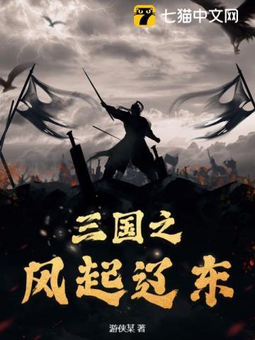 三国之风起云涌 txt