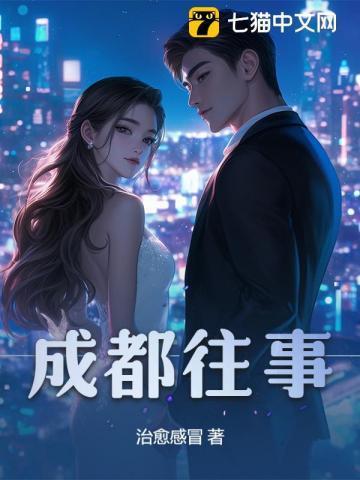 成都往事简介