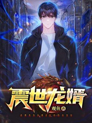 龙婿叶震