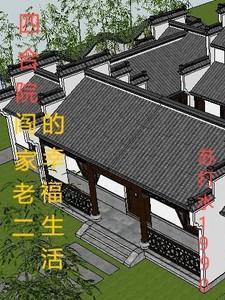四合院开局阎解旷