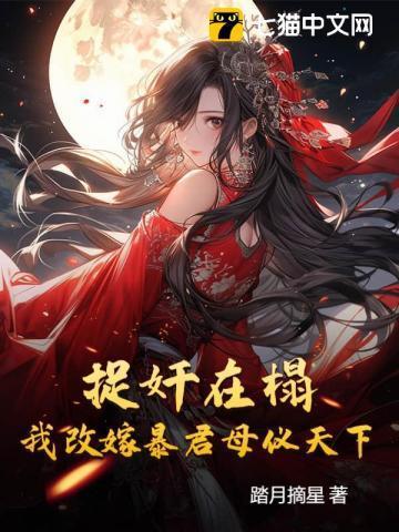 第三章假公主