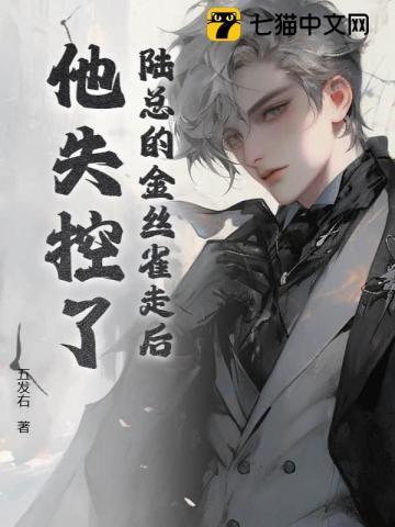 陆总金丝雀跑了