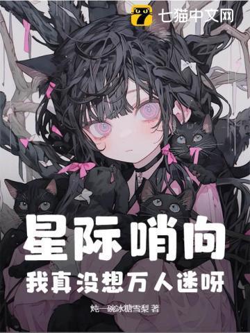 星际哨兵向导