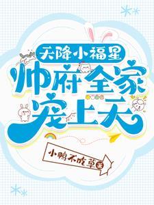 天降小福星帅府全家宠上天免费阅读